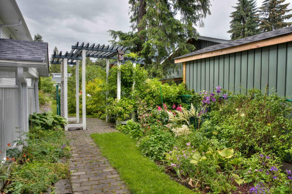 Hummingbird Bed And Breakfast Clearwater Extérieur photo