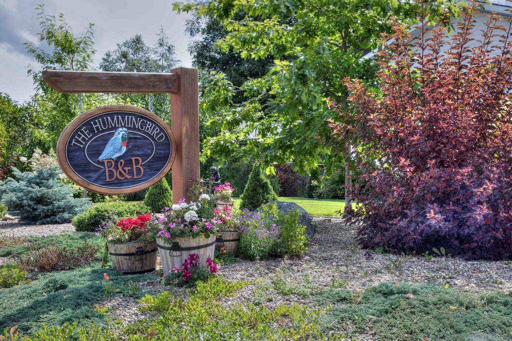 Hummingbird Bed And Breakfast Clearwater Extérieur photo