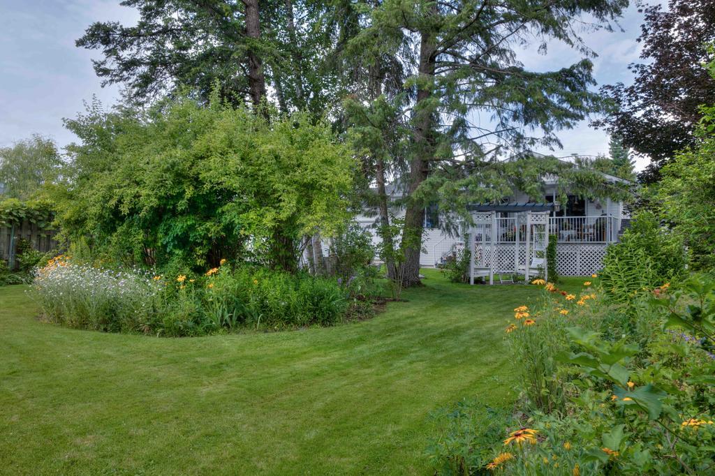 Hummingbird Bed And Breakfast Clearwater Extérieur photo
