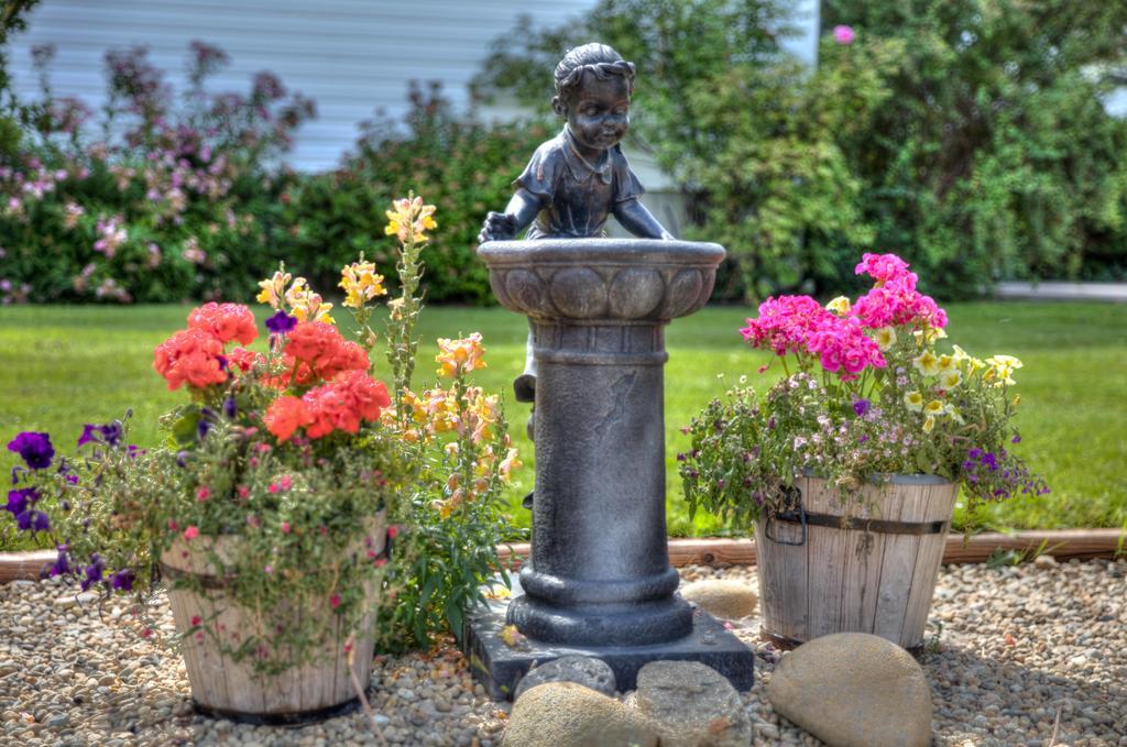 Hummingbird Bed And Breakfast Clearwater Extérieur photo